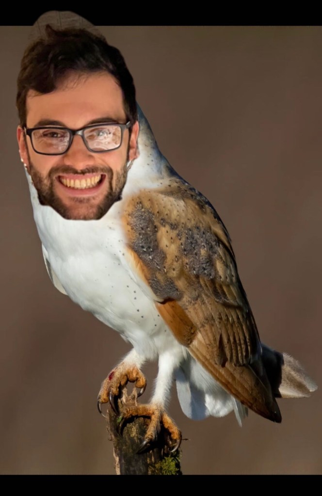 matt's face phooshopped onto an owl